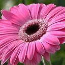 ���� N, ���������, 68 ��� - ��������� 14 ������� 2015 � ������ ���� ����������