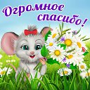 ���� ������, ������ ����� - ��������� 23 ������ 2015 � ������ �������� ��������