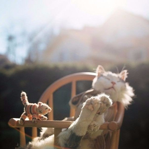 "� �� ���������, ���������"