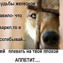 ���� �����, ��������� - ��������� 15 ������� 2016 � ������ ���� ����������