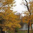   (-261), , 77  -  25  2015    