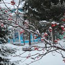  , , 69  -  7  2016     .   