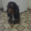 ���� ������, ���������, 53 ���� - ��������� 7 ������� 2015 � ������ ���� ����������