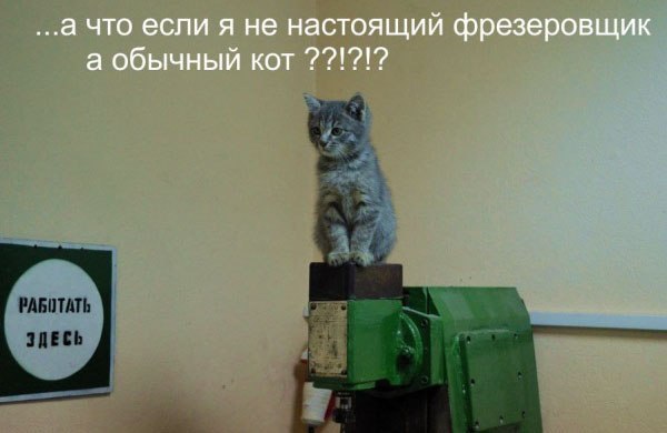    - 6