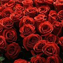 ���� �������, ����, 69 ��� - ��������� 17 ������ 2016 � ������ ������ ��������