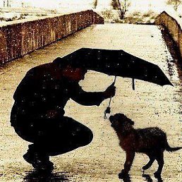 ���������, �����, 45 ���