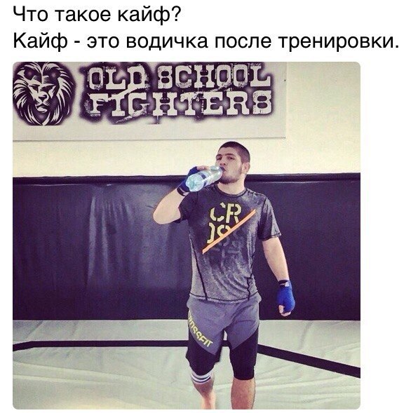  -   - 11  2015  12:24