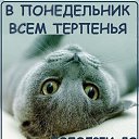 ���� �������, ������� - ��������� 18 ������� 2015 � ������ ������ ��������