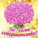 ���� �����, ������, 51 ��� - ��������� 3 ������� 2015 � ������ �������� ��������