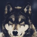 ���� ������, ������, 64 ���� - ��������� 29 ������� 2015