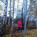 ���� ����, ������ - ��������� 3 ������ 2015 � ������ ���� ����������