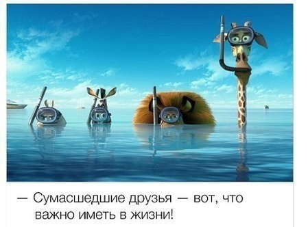   - 16  2016  10:06