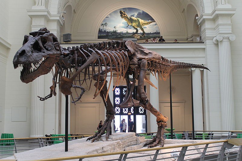 Tyrannosaurus Rex