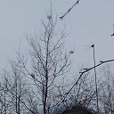 ���� ������, ����, 66 ��� - ��������� 30 ������� 2015 � ������ ���� ����������