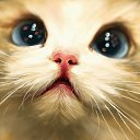 ���� ����/������, ������ �����, 73 ���� - ��������� 18 ������� 2015 � ������ ������