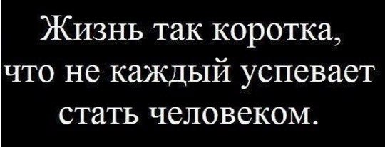  - 15  2015  22:32