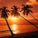  Karen, , 53  -  15  2016    