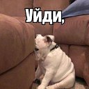 ���� �����, ������, 46 ��� - ��������� 20 ������� 2015 � ������ ���� ����������