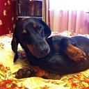 ���� ��� �?, �����-���������, 53 ���� - ��������� 15 ������ 2015 � ������ ���� ����������