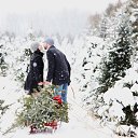 ���� �����, ���� - ��������� 7 ������� 2015 � ������ ������ ��������