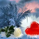 ���� �������!, ����� - ��������� 27 ������� 2016 � ������ ������ ��������