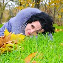 ���� ��������, ��������� - ��������� 12 ������� 2015 � ������ ���� ����������