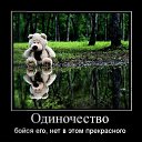���� Vova, ������, 29 ��� - ��������� 24 ������� 2015 � ������ ���� ����������