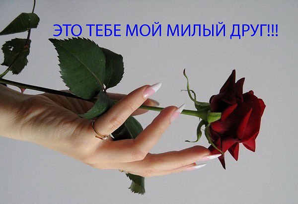   , ,  .   , .     ,   ...