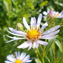 ���� ������, ��������, 55 ��� - ��������� 28 �������� 2015 � ������ ���� ����������