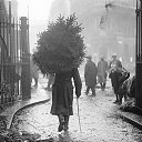  , -, 59  -  31  2015    