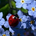 ���� ���������, ������ - ��������� 8 ������� 2015 � ������ ������ ��������