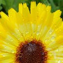 ���� ������, ��������, 55 ��� - ��������� 28 �������� 2015 � ������ ���� ����������