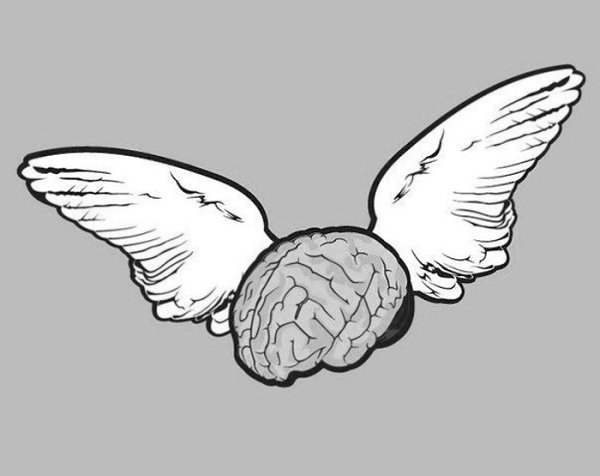 Мозг любит.1. Конкретная цель. Как только вы сформулируете для себя конкретную цель, задачу – тут же ...