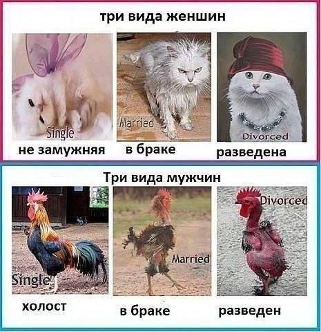 ,  ,   !
