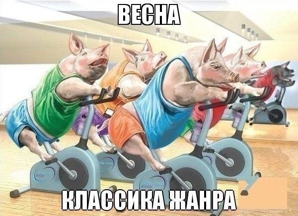  -   - 27  2016  15:53