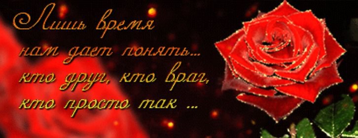 ~Dasha~ - 26  2016  12:55