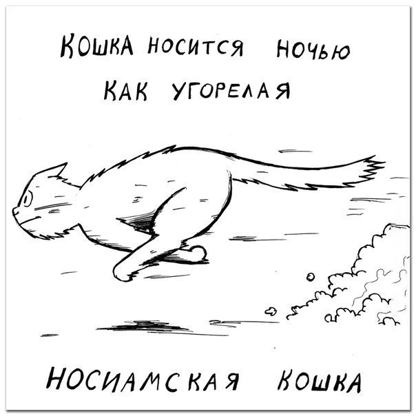  .   - 8
