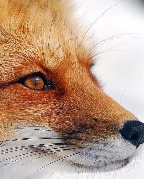   - 23  2016  02:59 - 2