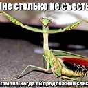   , - -  3  2015    