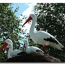 ���� ������, ���������, 69 ��� - ��������� 9 ������� 2015 � ������ ������ ��������