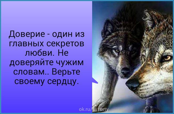   - 13  2016  14:17