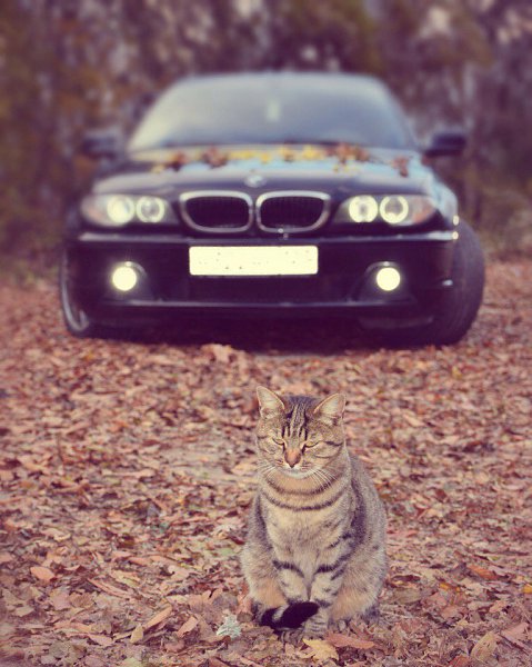 BMW 3 Series E46 - 3