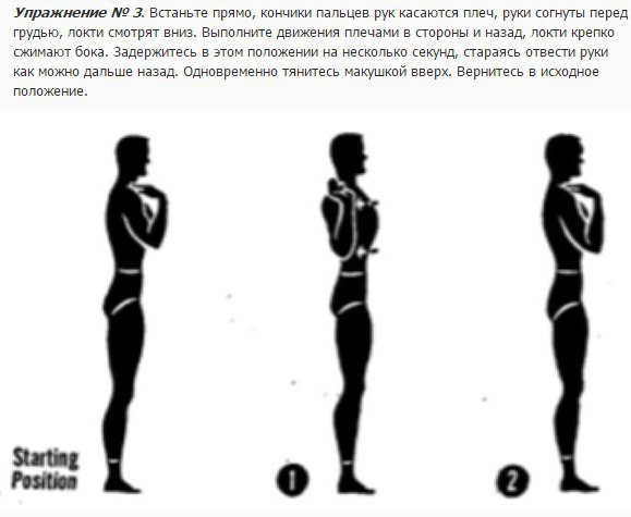 Встань прямо. Армейские упражнения для осанки. Руки согнуты перед грудью. Движение плечами вверх вниз. Исходное положение руки перед грудью.