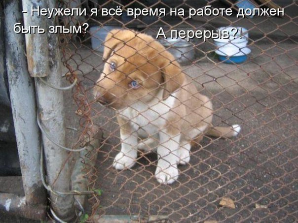 ������ - 27 ������� 2015 � 10:17