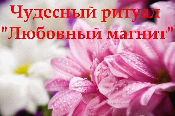 Очень действенный ритуал для мужчин и женщин от Ольги Николаевой. Он подойдет тем, кто желает найти ...