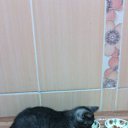 ���� �����, �����, 54 ���� - ��������� 26 ������� 2016 � ������ ���� ��������