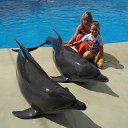 ���� ����, ���������, 39 ��� - ��������� 26 ������ 2015 � ������ ���� ����������