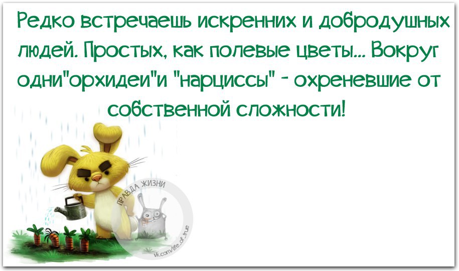   - 3  2015  16:42