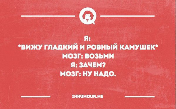 ���������������� ���� - 3 ������� 2015 � 22:05