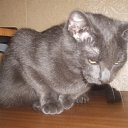 ���� ������, �����������, 27 ��� - ��������� 7 ������� 2015 � ������ ���� ����������